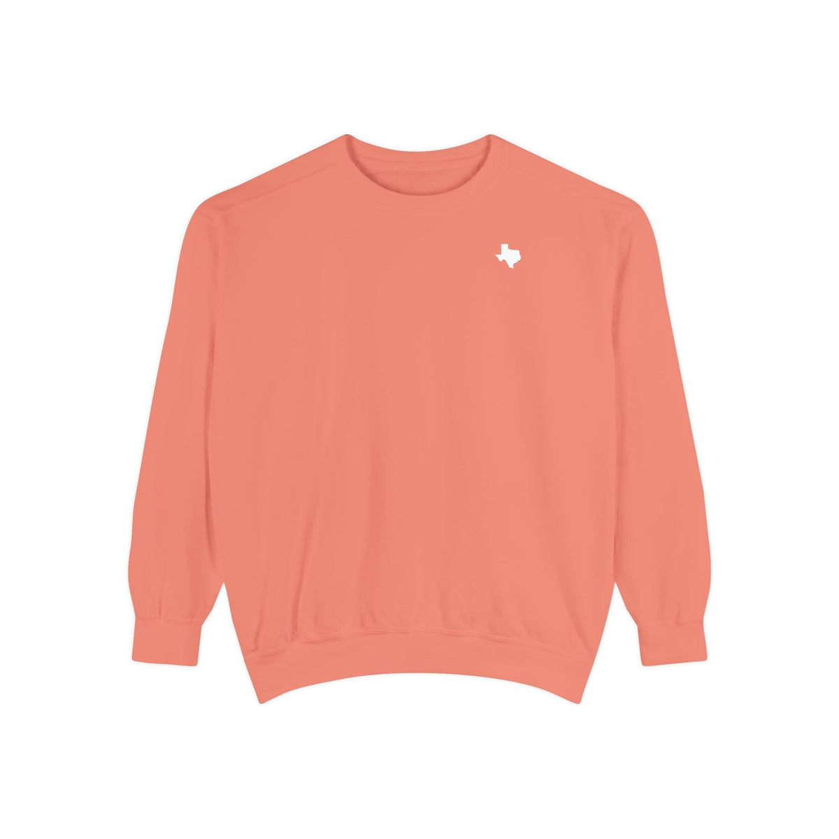 Garment-dyed state crewneck sweatshirt